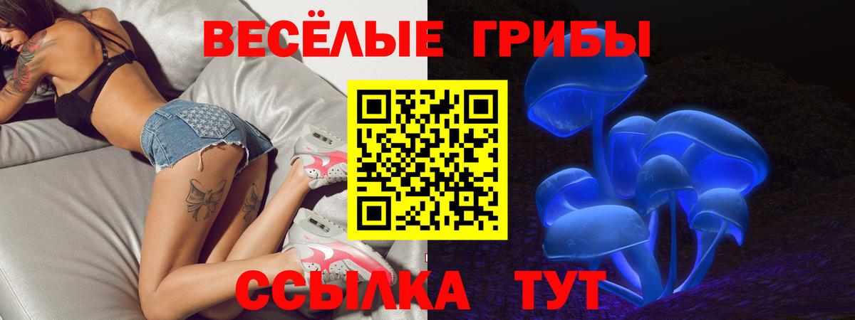Галлюциногенные грибы прущие грибы Гурьевск