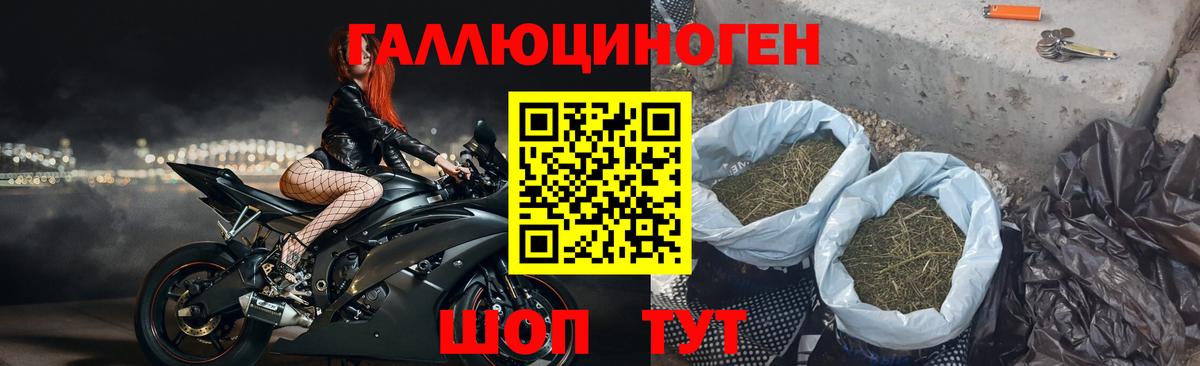 Галлюциногенные грибы прущие грибы  Вход с VPN  Гурьевск 